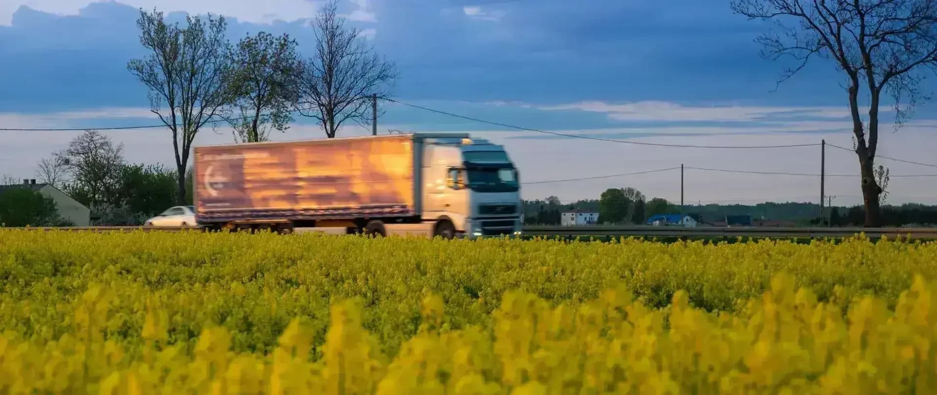 Decyzja środowiskowa dla 70 km dróg S12 i S74 w Łódzkiem – budowa nie została wstrzymana